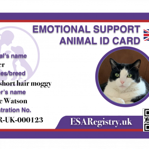Digital ESA Card and Certificate